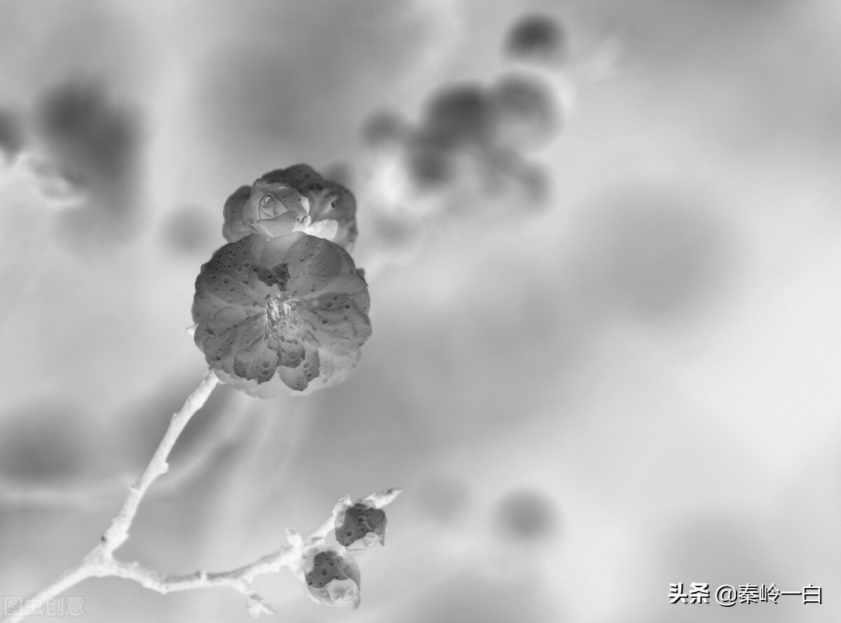 王冕是元朝末年的著名诗人与画家,元朝著名画家王冕的书画作品欣赏