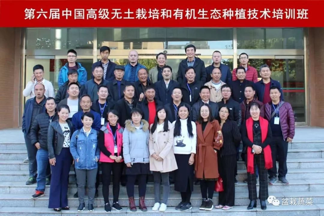 无土栽培和土壤种植技术研究所,农业无土栽培技术培训