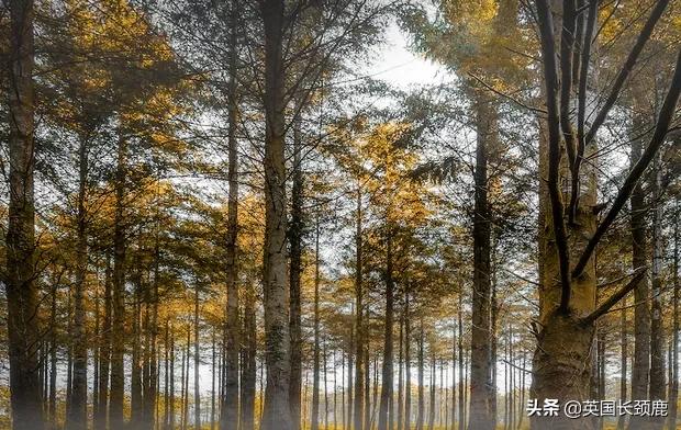 英国秋天好去处,英国秋天旅游必去的地方