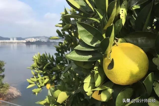 这个40岁大叔为钓鱼租下一座岛,改造破屋成海景房!