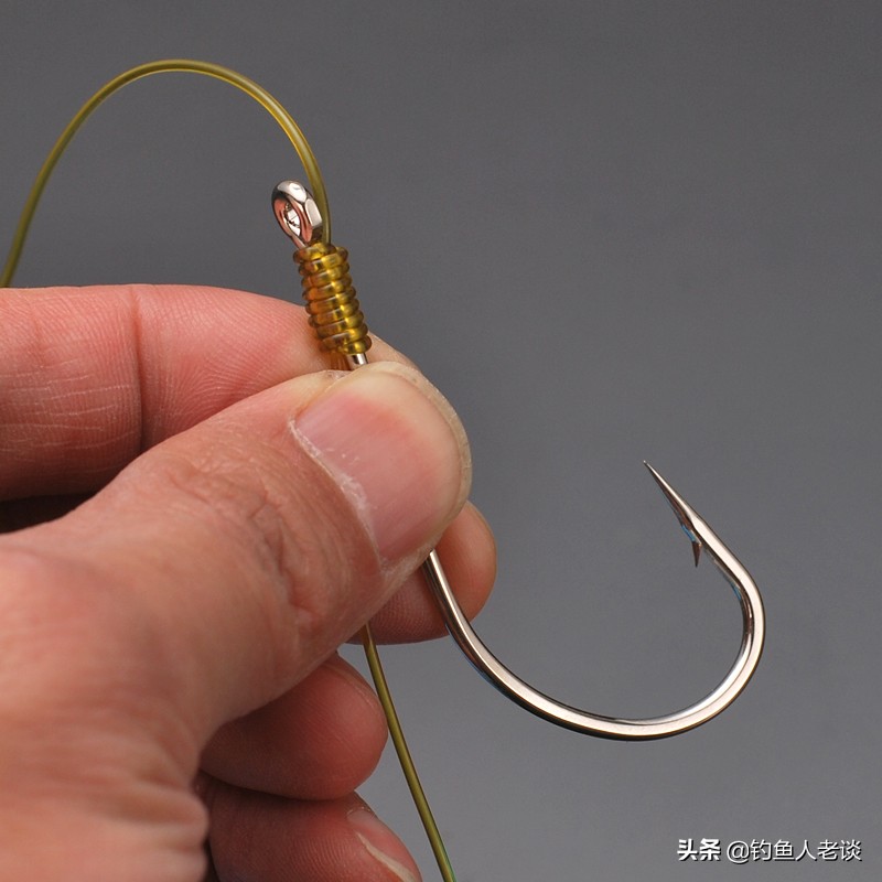 食人白鲳观赏鱼,食人鱼淡水白鲳