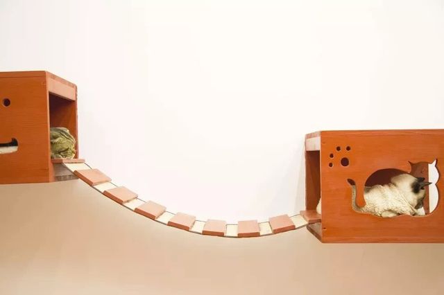 上海平价咖啡店推荐,上海必去的咖啡店