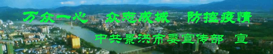 鍥㈠窘浠ｈ喘浜哄憳鍚嶅崟,鍥㈠窘鍏艰亴