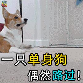 情人节实用礼物送女生走心,满意度100%怎么算