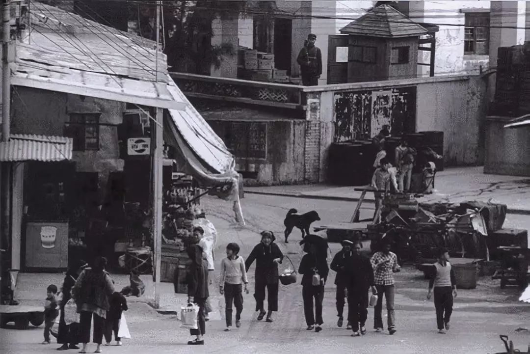 外网看深圳40年的变迁史,深圳特区40年光明变迁记