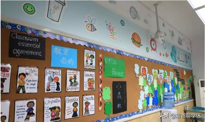 名校巡礼之泡桐树小学天府校区,名校巡礼