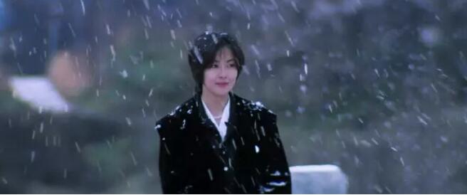 情书柏原崇藤井树解析,藤井树柏原崇是啥意思