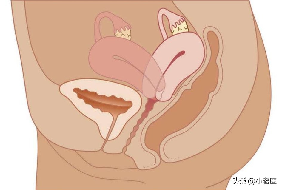 怀孕抽筋是缺钙吗,怀孕初期抽筋