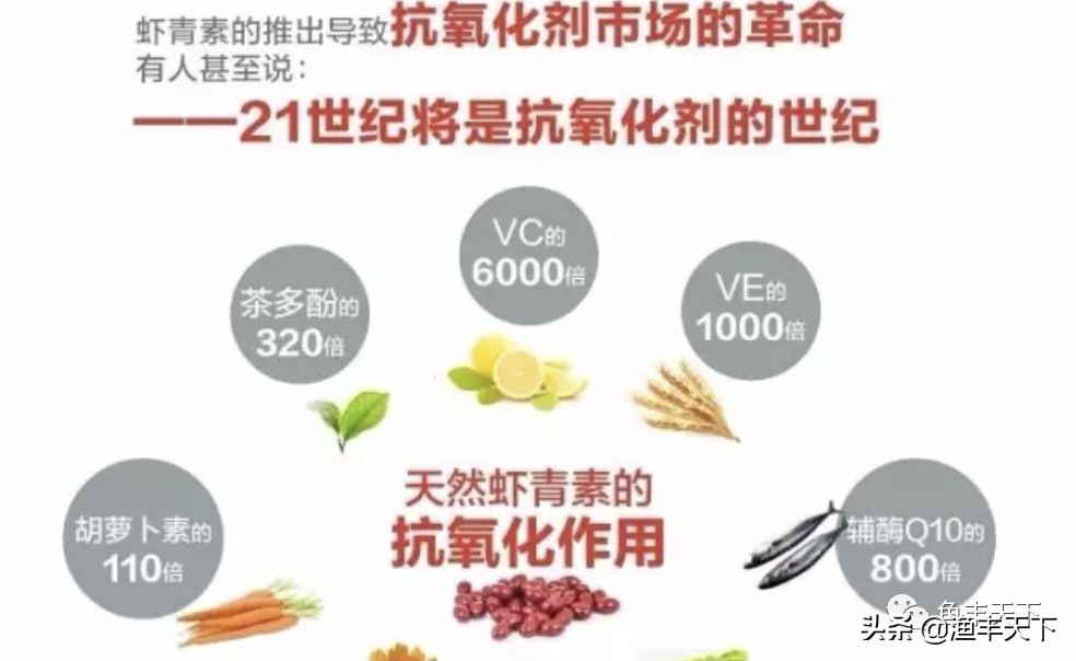 vc抗应激对水产养殖的用途,水产养殖vc抗应激的作用