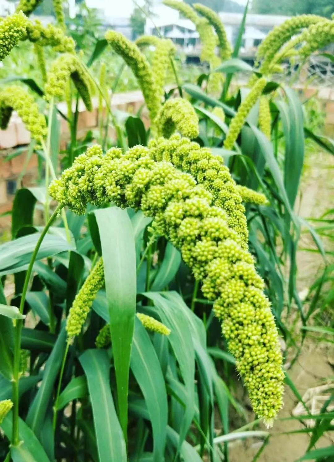 终于知道看演唱会为什么会哭了,舞台剧门票为啥这么贵