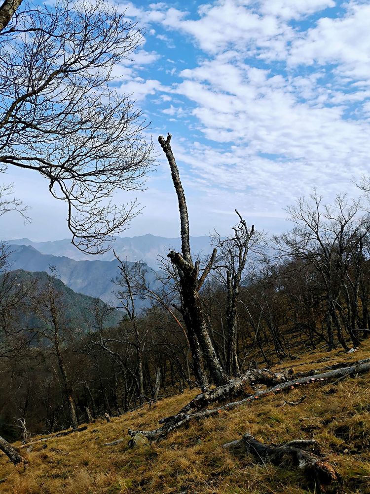 20201101惊悚之行~首阳山大坪梁单日横穿+原返