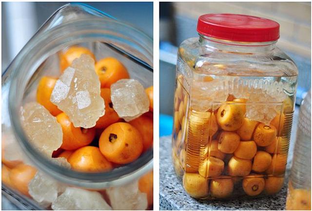 水果酒做法自制梅子酒,有哪些水果可以自制水果酒