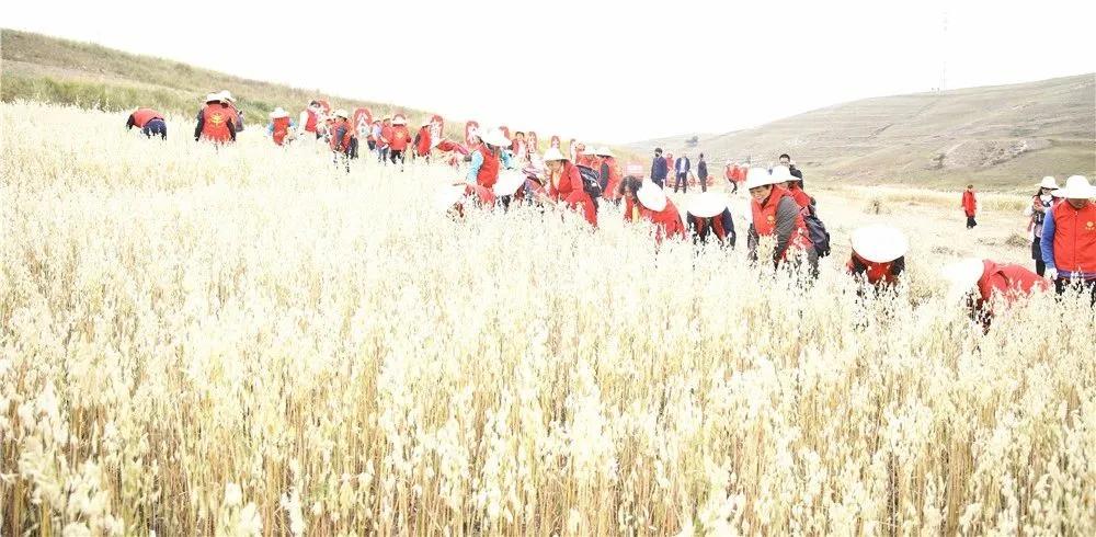 第三届中国农民丰收节汝南,益阳市第三届中国农民丰收节举行