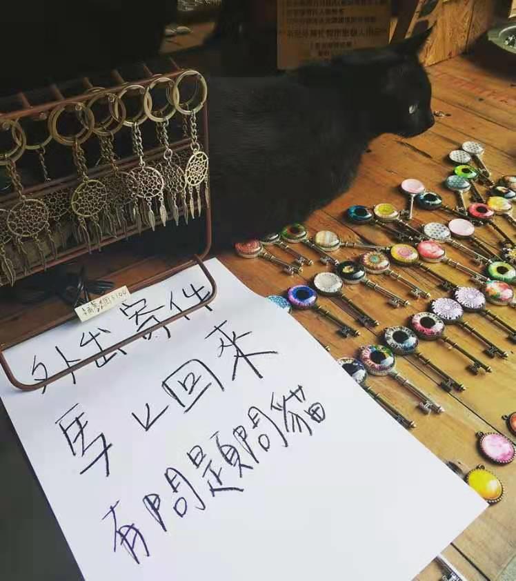 全网都以为复旦大学的猫被偷了，几天后…气得想骂猫