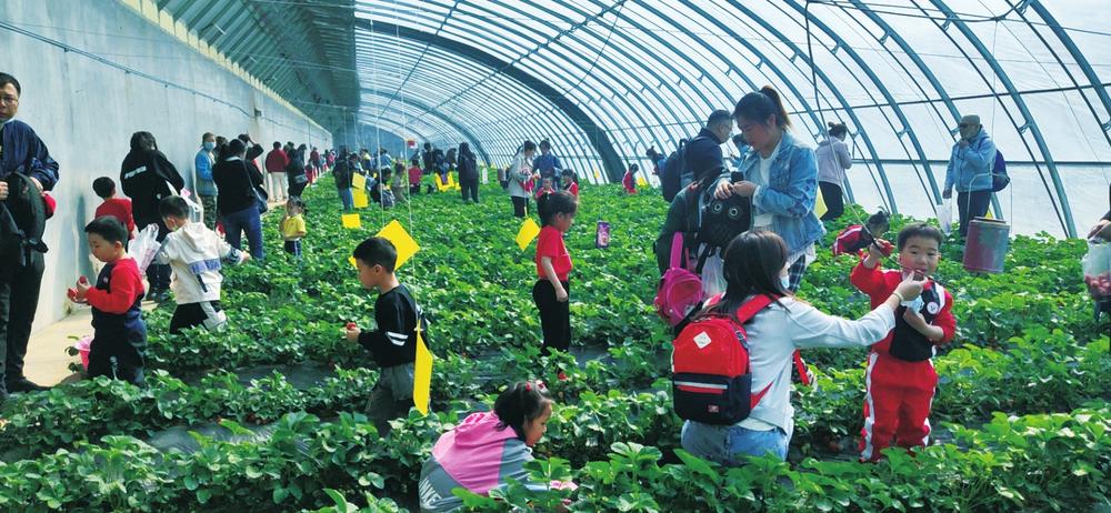 吉林日报:别样宽城,乡野耕出好风景——到长春市宽城区看荣发生态园
