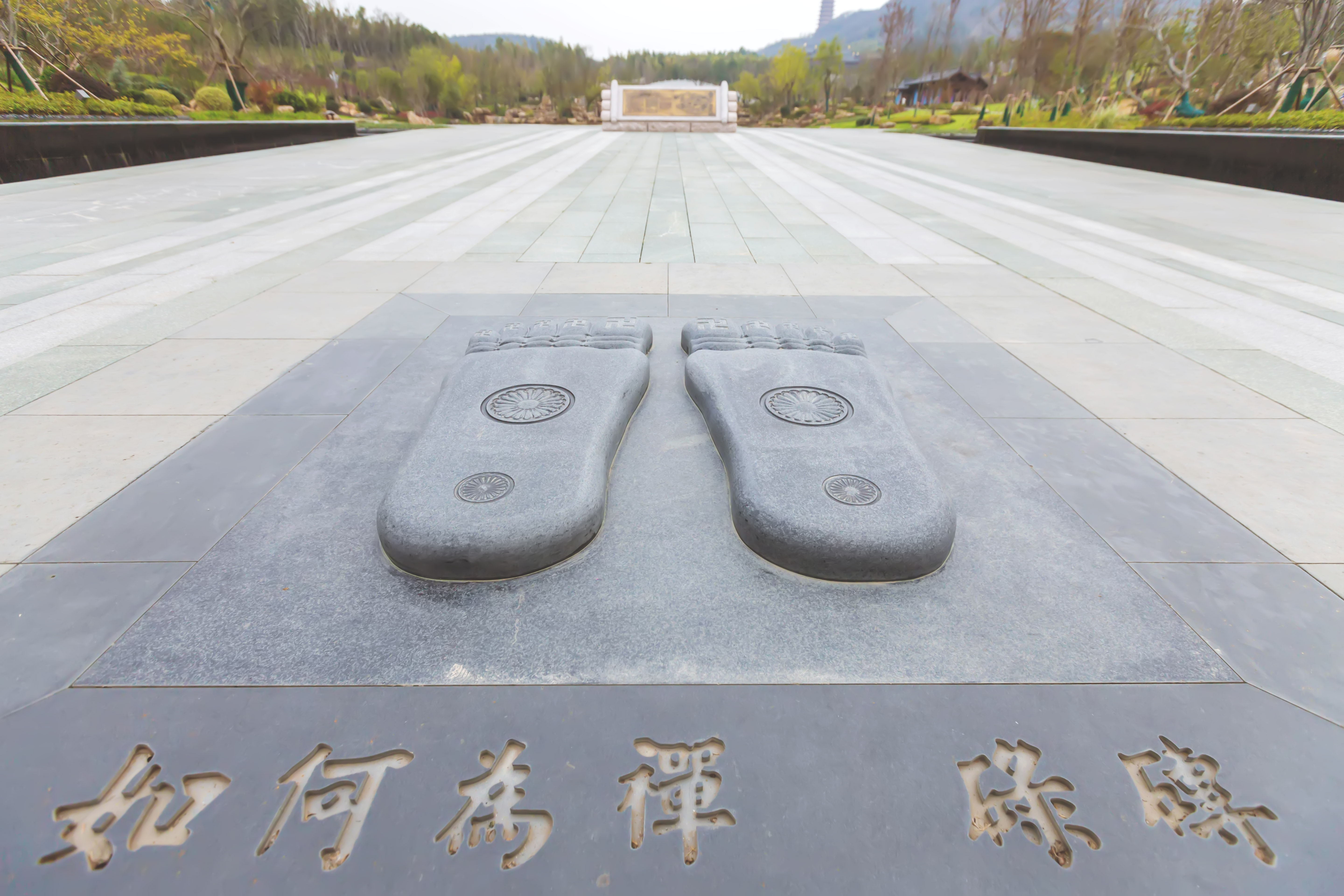 释迦牟尼舍利子头盖骨,释迦牟尼的真身头盖骨