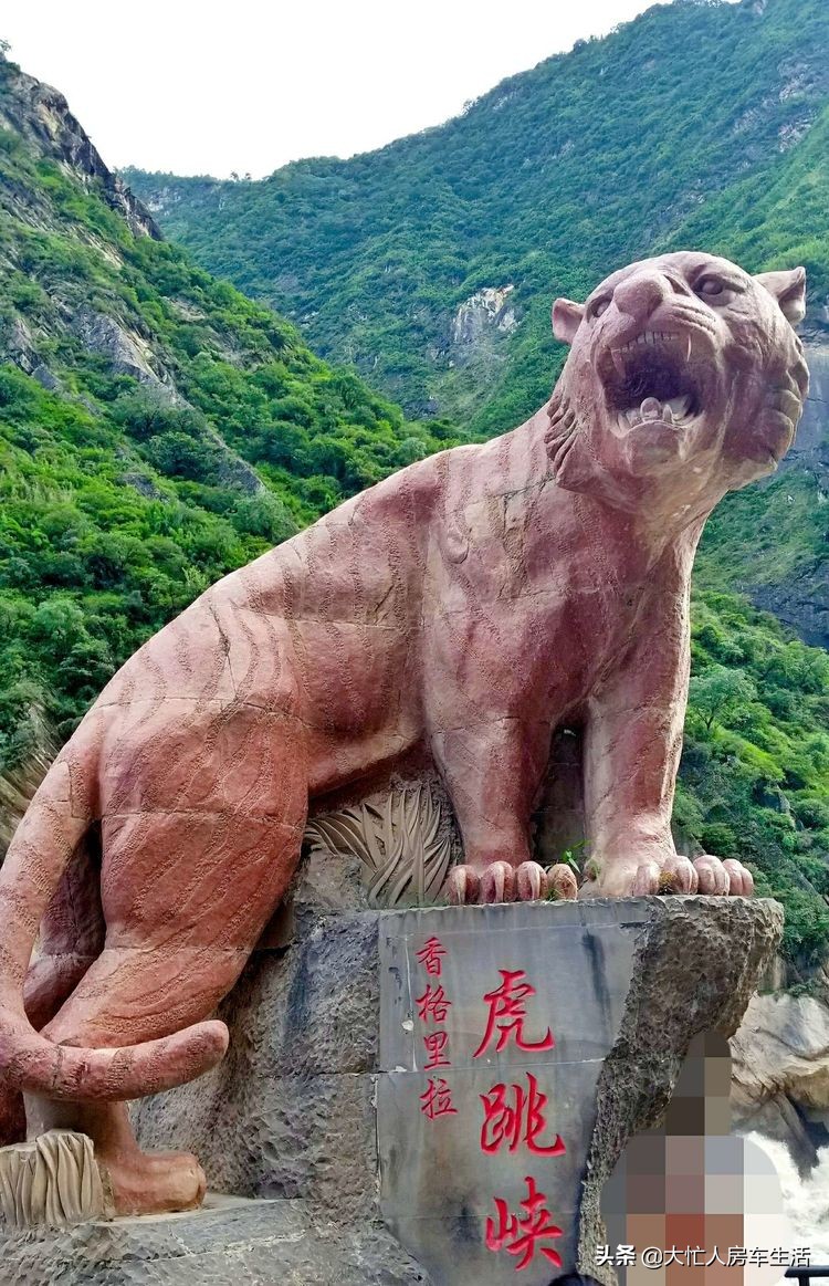 依维柯可以去高原吗,依维柯去高原要刷高原包吗