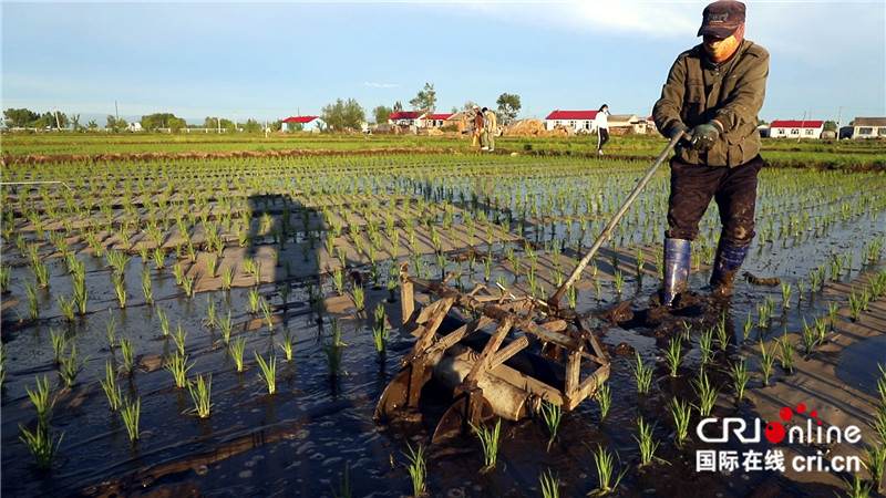 延寿县46个贫困村全部脱贫,延寿县贫困