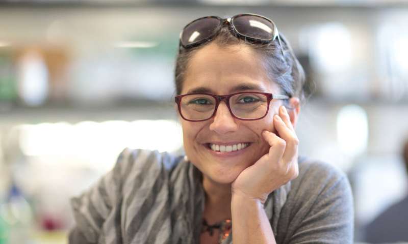 肌肉疾病的干细胞治疗,肌肉萎缩激活