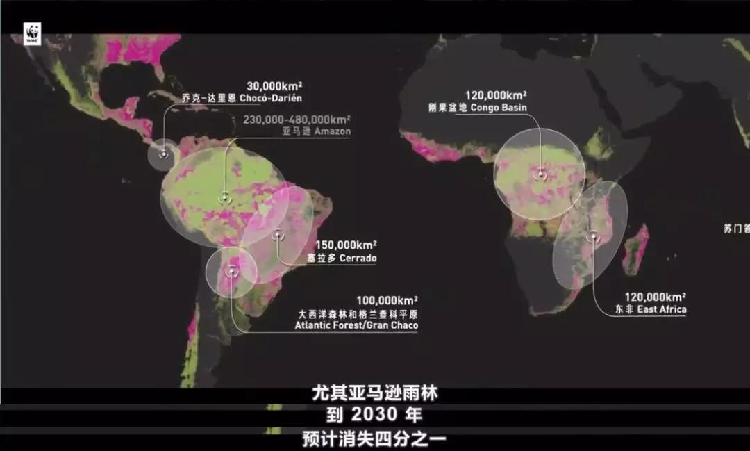 中国人吃肉破坏环境,中国人吃肉对巴西有影响吗
