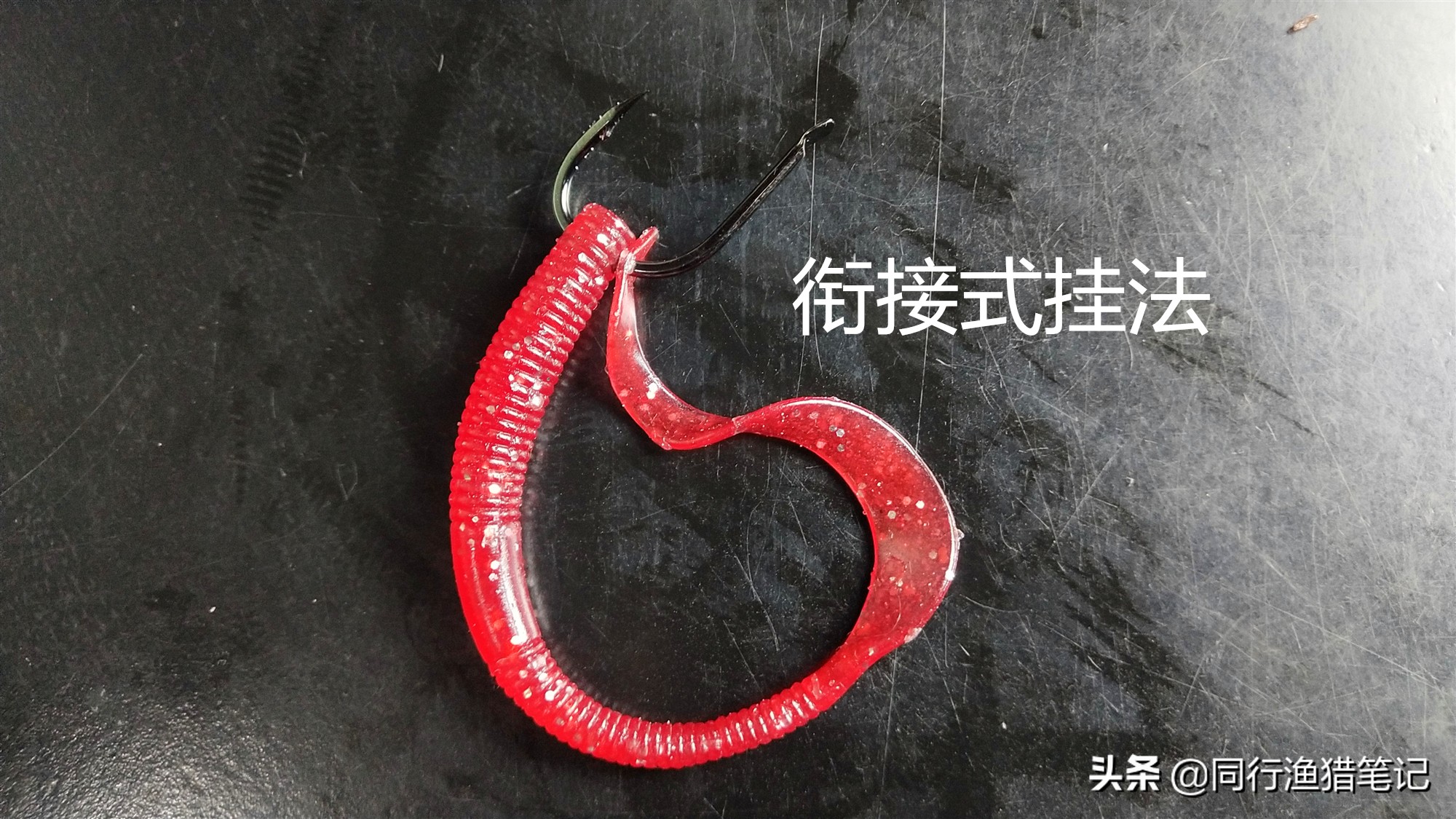 正确蚯蚓挂钩法钓小杂鱼,鱼比较小蚯蚓怎么挂钩