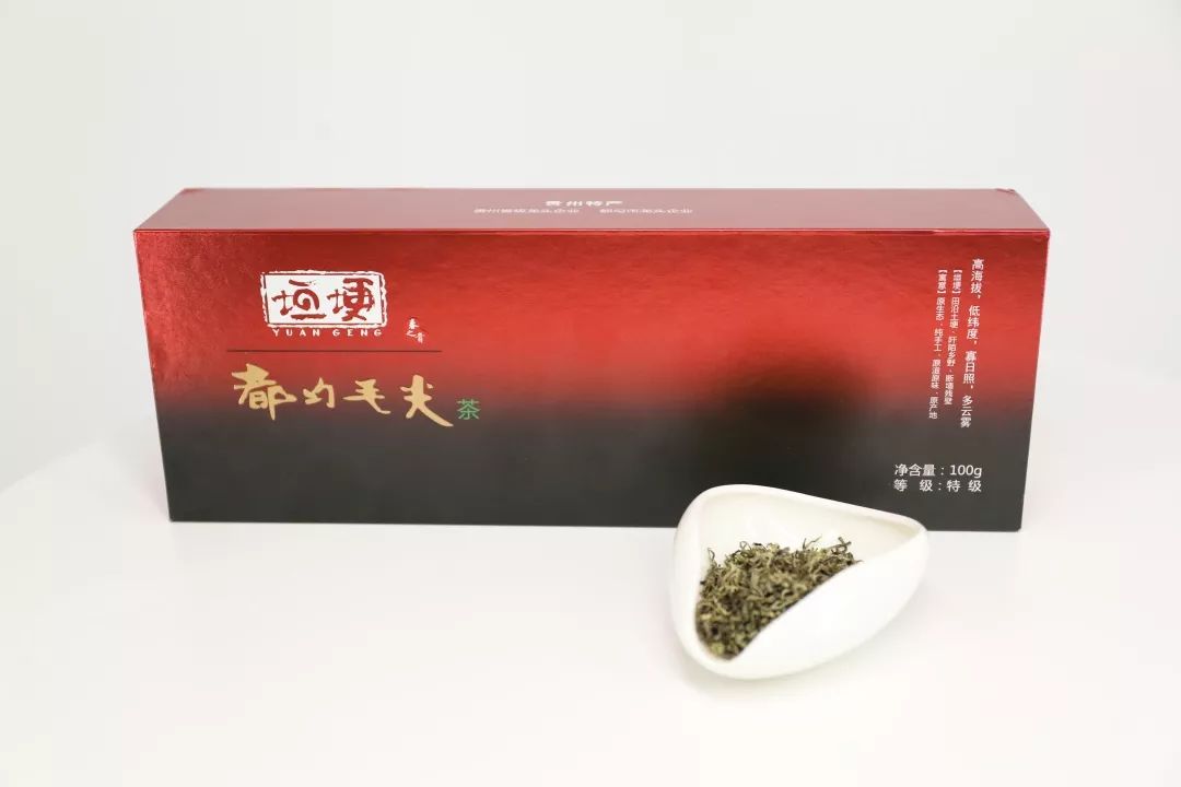 一分钟了解都匀毛尖,都匀毛尖有什么好处