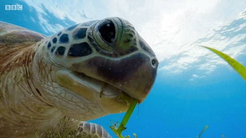 能长上流社会见识的纪录片,有什么可以增加见识眼界的纪录片