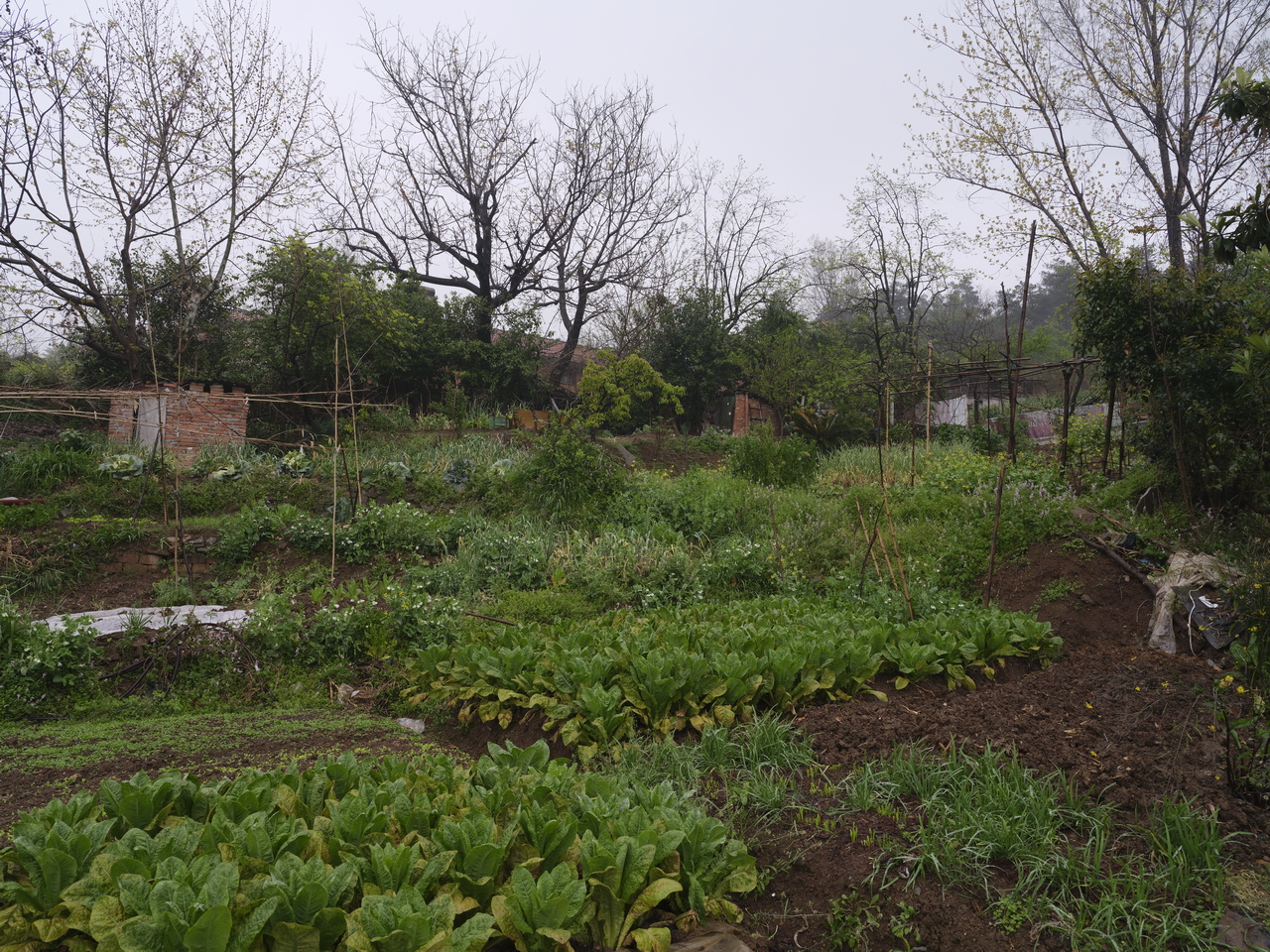 湖北三线536厂,三线厂汉丹机械厂