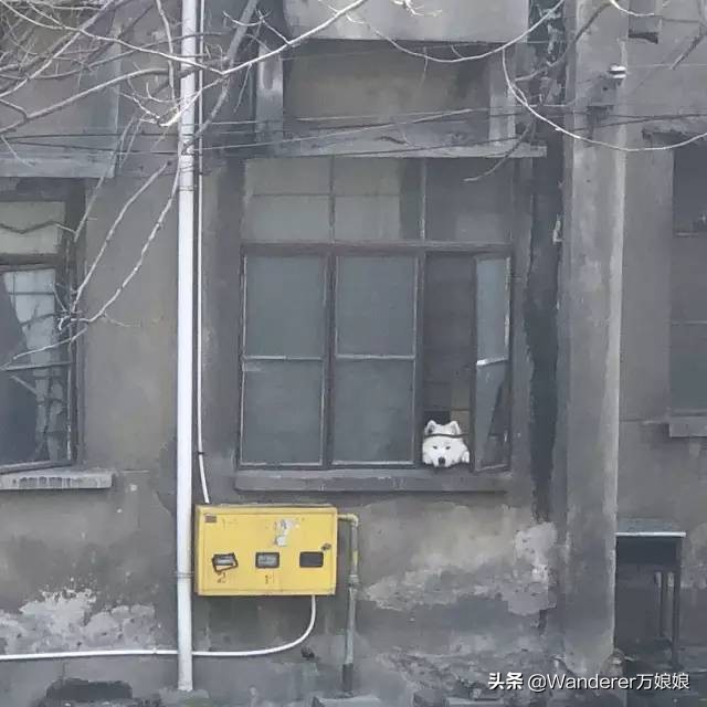 多亏这些宝藏网友，让我笑到免疫力增强