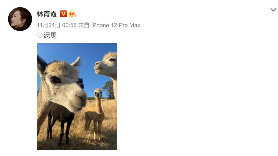 张国立与林青霞,回复评论阴阳怪气的人