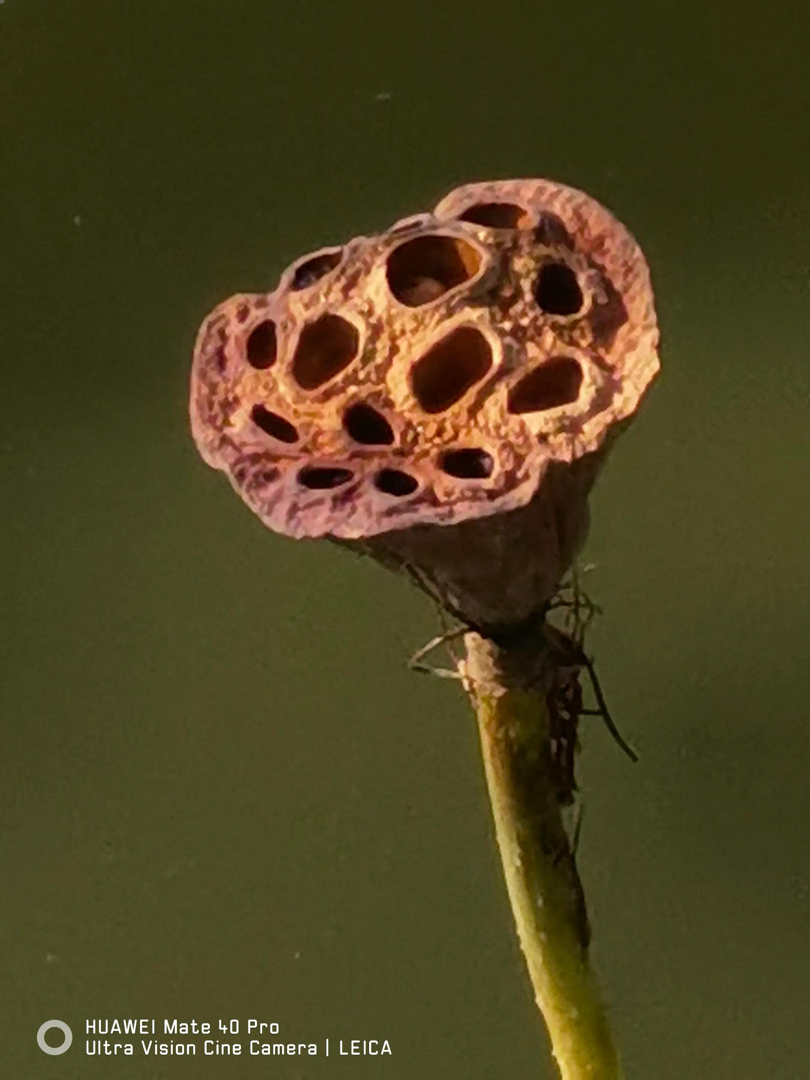 手拍世界手机摄影平台,手机摄影作品集大全集
