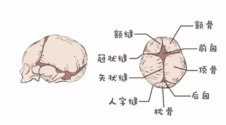 宝宝的囟门怕冻吗,宝宝的囟门一碰也不能碰吗