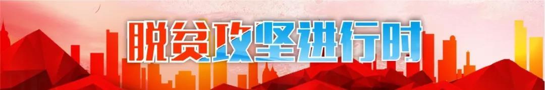看乌定补拉格村第一书记如何用“小蘑菇”撑起“致富伞”！