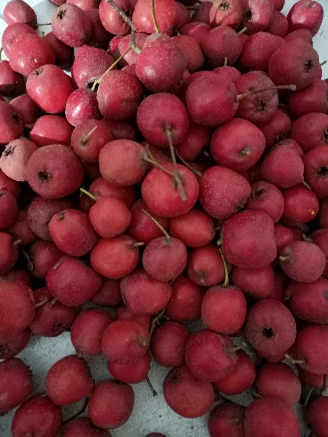 互相磨损是什么意思,相互损耗是什么意思