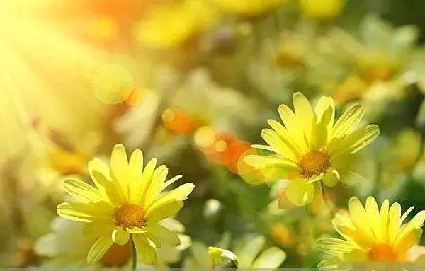 你家燃气归属有变化！办理开户、补卡等业务换地方了