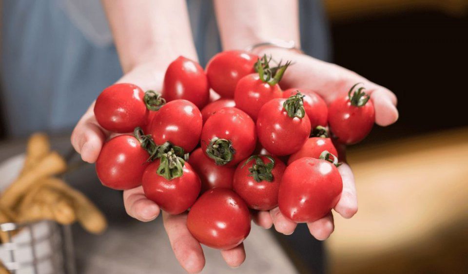 熬了十年的汤,老汤酸了还能重新熬出来吗