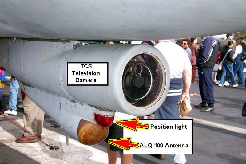 猫咪需要哪些用品,猫迷惑新技能