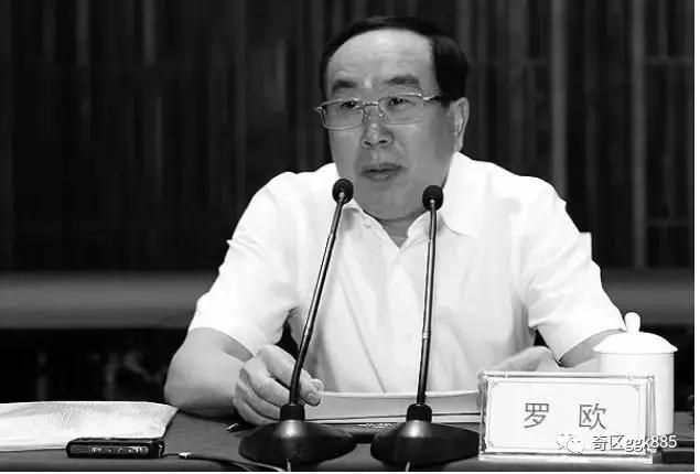 “三招”扮演“大贪若廉”形象贪腐过亿...广东*场官**又一“副部级”*官高**被查