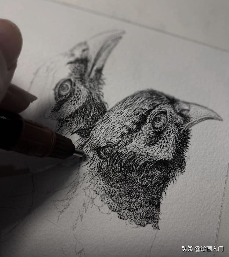 这些精美的黑白点绘插画，竟是纹身，如同复古的石版画一般美丽