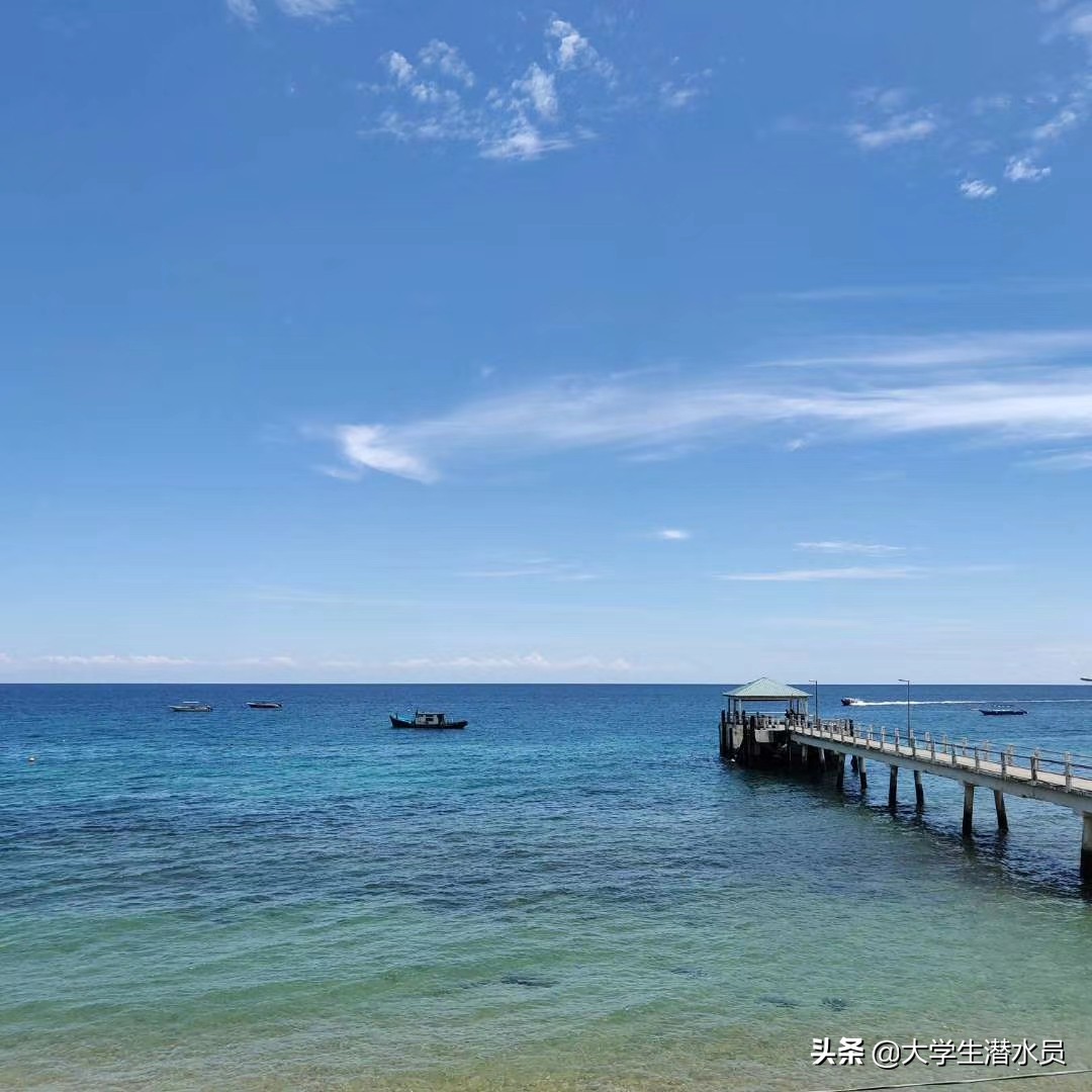 竟然只要两千去考潜水证考证细节须知学潜水前必看2-刁曼岛