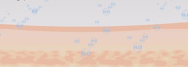 bbc珍珠面霜 (bbc沙棘面霜)