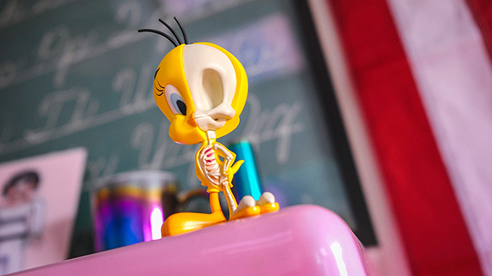 骷髅人体模型玩具,骷髅玩具真实版