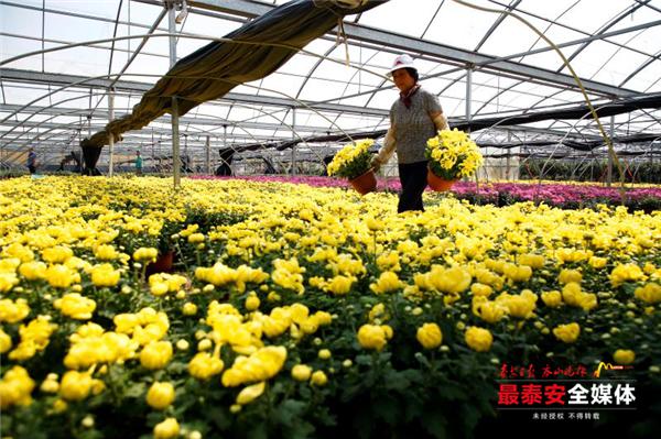 乡村振兴产业园招商项目简介,乡村振兴农业示范园牌子效果图