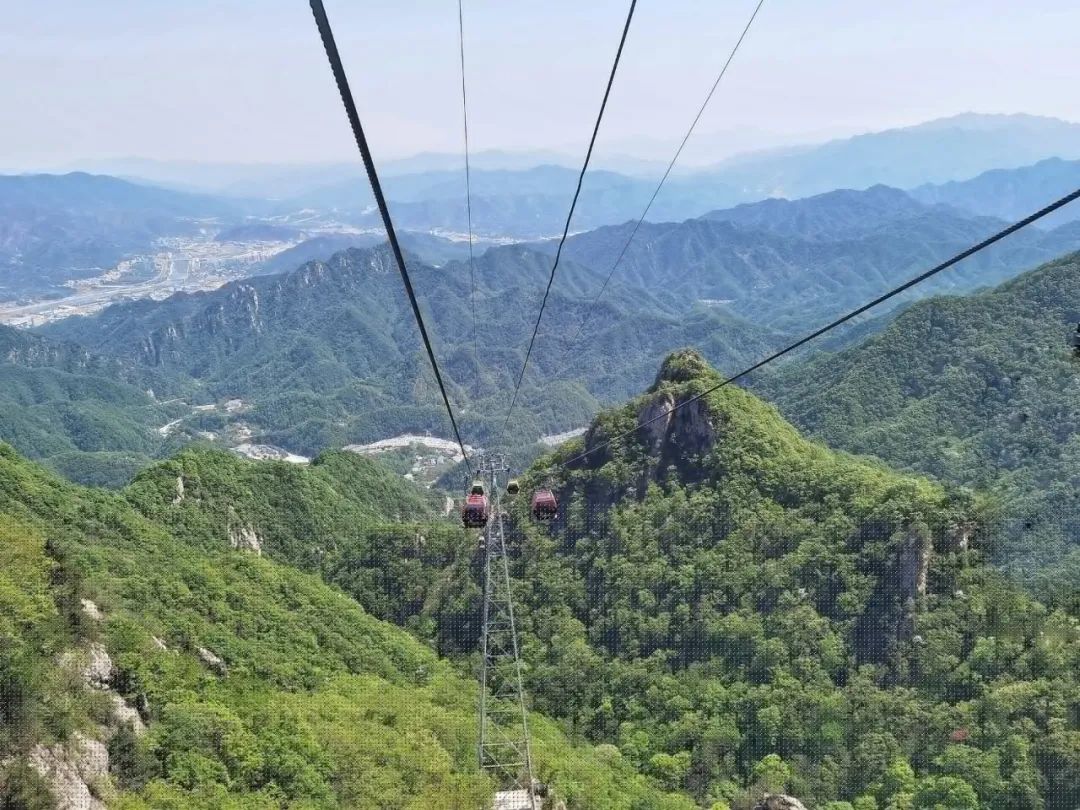 去河南旅游先去洛阳还是开封玩,河南洛阳旅行