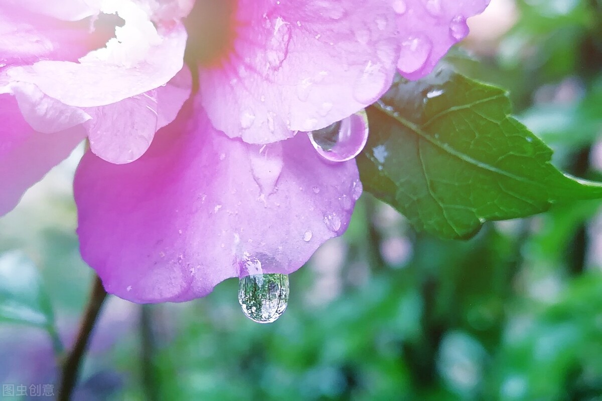 愿时光不老愿我们常在青春易逝,愿时光不老我们不散留住美好时光