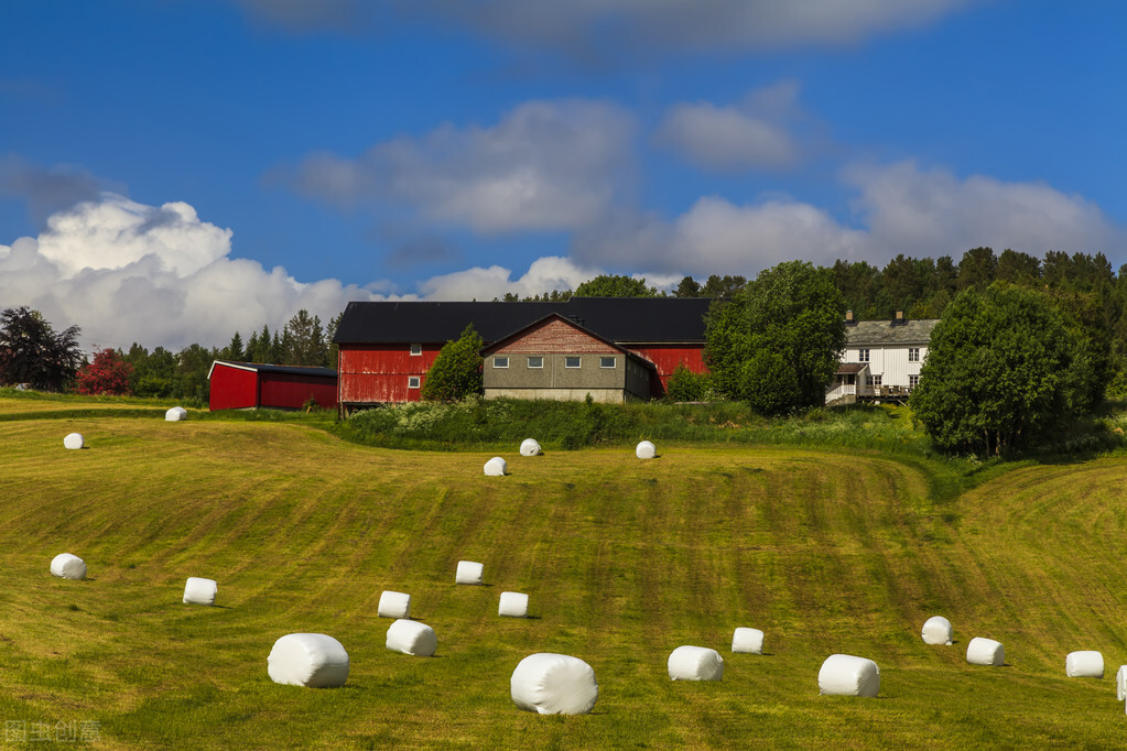 挪威钞票上比鲁迅小一岁的美女作家，因写了一篇小说获得诺贝尔奖