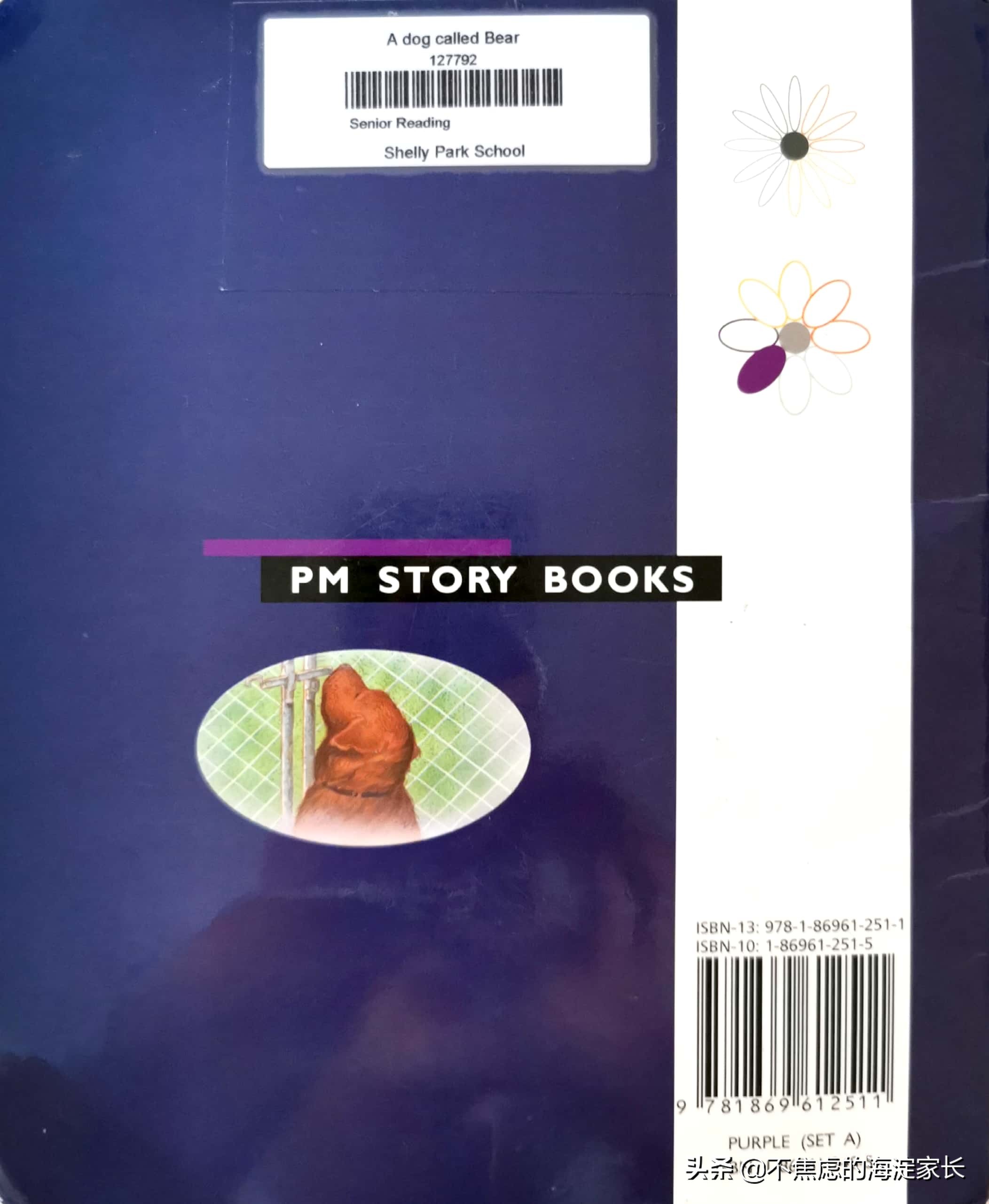 新西兰小学课后读物,新西兰小学读书