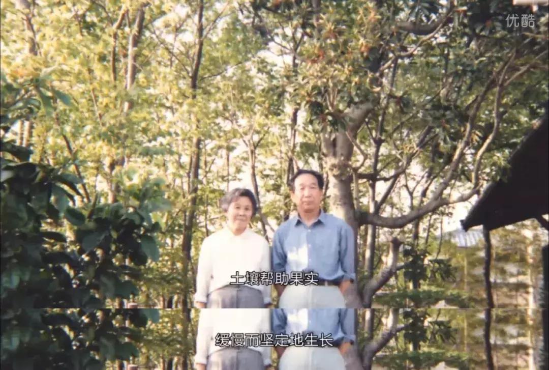 怎么摆脱原生家庭对子女的伤害,普通人如何摆脱原生家庭的影响