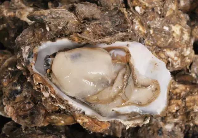 防城港怎么吃海鲜便宜不被坑,防城港干货海鲜有哪些