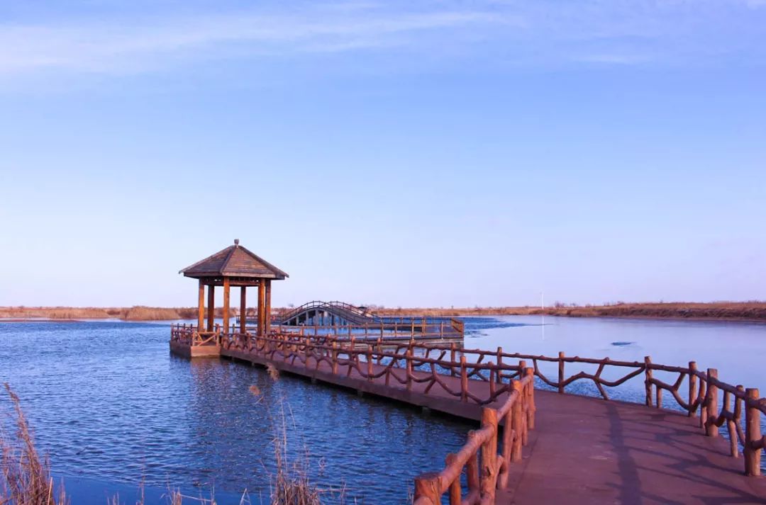 在山东秋天适合去哪儿旅游,山东秋季旅游去哪里好玩